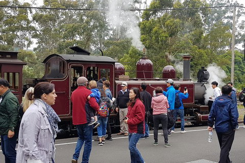 Day Tour Of Yarra Valley Puffing Billy And Rayners Orchard - Accommodation Gladstone 4