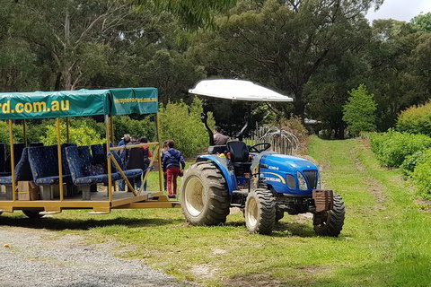 Day Tour Of Yarra Valley Puffing Billy And Rayners Orchard - Accommodation Gladstone 25