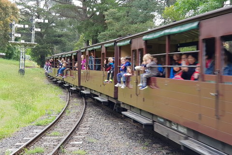 Day Tour Of Yarra Valley Puffing Billy And Rayners Orchard - Accommodation Gladstone 24