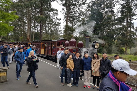 Day Tour Of Yarra Valley Puffing Billy And Rayners Orchard - Accommodation Gladstone 9