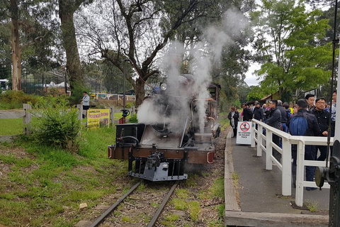 Day Tour Of Yarra Valley Puffing Billy And Rayners Orchard - Accommodation Gladstone 43