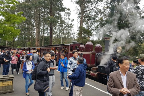 Day Tour Of Yarra Valley Puffing Billy And Rayners Orchard - Accommodation Gladstone 12