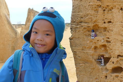 Private, Luxury Pinnacles Tour: Stargazing, Sand-boarding & Sightseeing - Accommodation Gladstone 6
