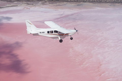 Pink Lake + Abrolhos Islands Nature Tour - Accommodation Gladstone 3