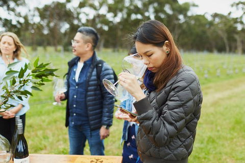 Organic Vineyard/Farm Tour - Accommodation Gladstone 1