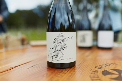 Organic Vineyard/Farm Tour - Accommodation Gladstone 8