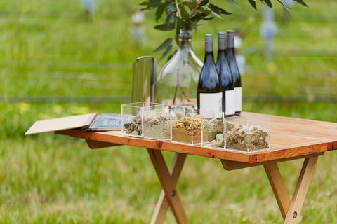 Organic Vineyard/Farm Tour - Accommodation Gladstone 3
