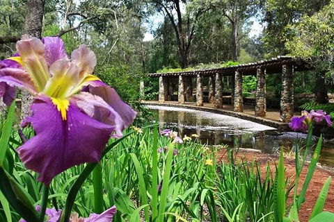 Perth Hills Explorer (Private) Day Tour - Accommodation Gladstone 35