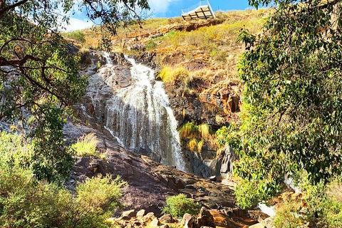 Perth Hills Explorer (Private) Day Tour - Accommodation Gladstone 4