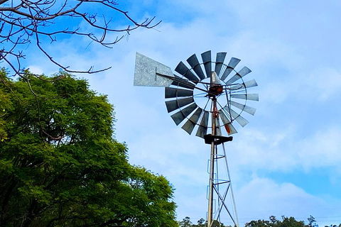 Perth Hills Explorer (Private) Day Tour - Accommodation Gladstone 27