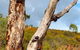 Perth Hills Explorer (Private) Day Tour - thumb 36