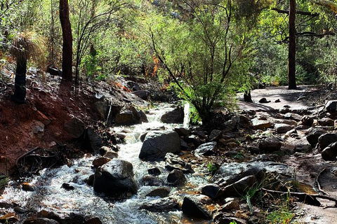 Perth Hills Explorer (Private) Day Tour - Accommodation Gladstone 13