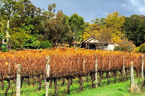 Perth Hills Explorer (Private) Day Tour - Accommodation Gladstone 32