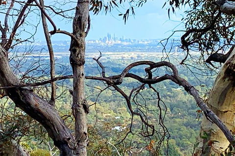 Perth Hills Explorer (Private) Day Tour - Accommodation Gladstone 7