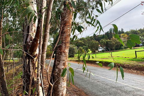 Perth Hills Explorer (Private) Day Tour - Accommodation Gladstone 28