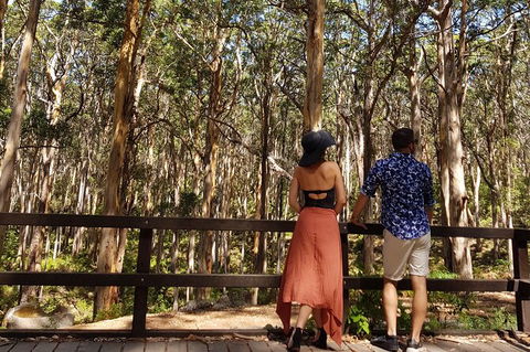 Private Tour Margaret River - Accommodation Gladstone 7