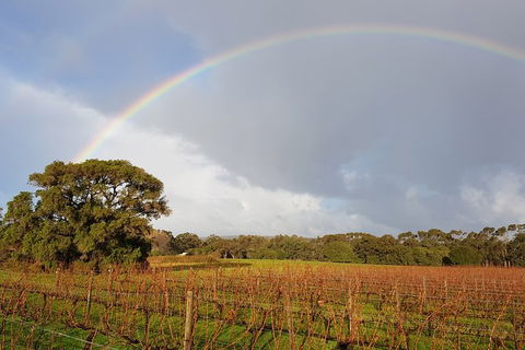 Private Tour Margaret River - Accommodation Gladstone 5