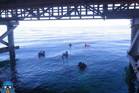 PADI Open Water Course - Accommodation Gladstone 3