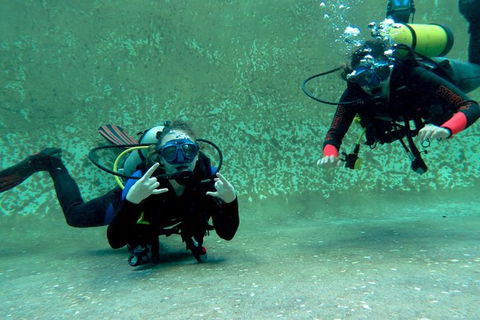 PADI Open Water Course - Accommodation Gladstone 4