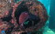 PADI Open Water Course - thumb 1