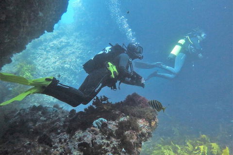 PADI Open Water Course - Accommodation Gladstone 2