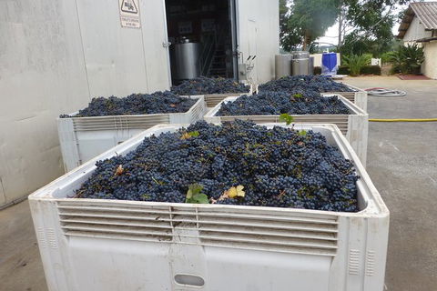 A Taste Of Margaret River Luxury Wine Tour - Accommodation Gladstone 3