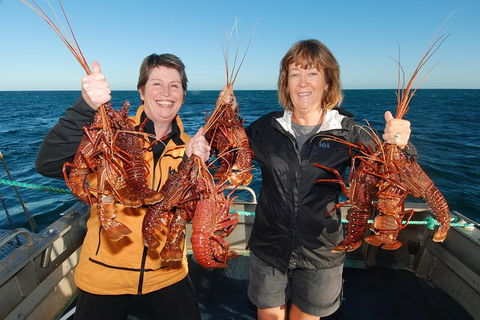 Abrolhos Islands 5 Day Tours - Accommodation Gladstone 1