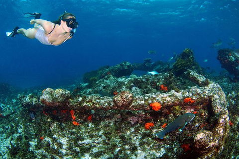 Abrolhos Islands 5 Day Tours - Accommodation Gladstone 3