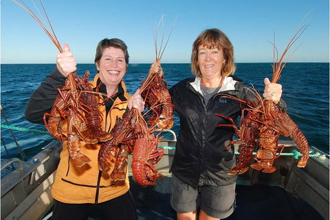 Abrolhos Islands 5 Day Tours - Accommodation Gladstone 0