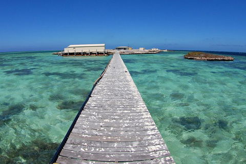 Abrolhos Islands 5 Day Tours - Accommodation Gladstone 4
