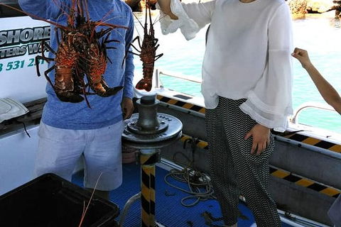 Lobster Fishing Tour At Geraldton - Accommodation Gladstone 1