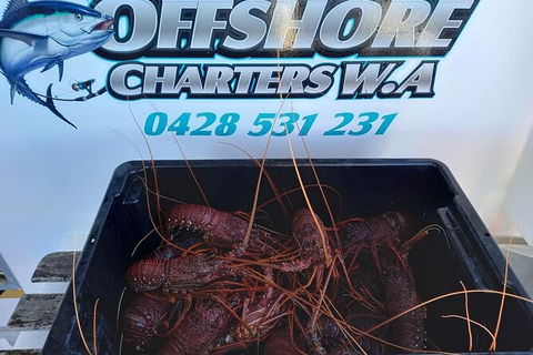 Lobster Fishing Tour At Geraldton - Accommodation Gladstone 0