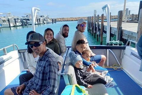Whale Watching Boat Tour In Geraldton - Accommodation Gladstone 1