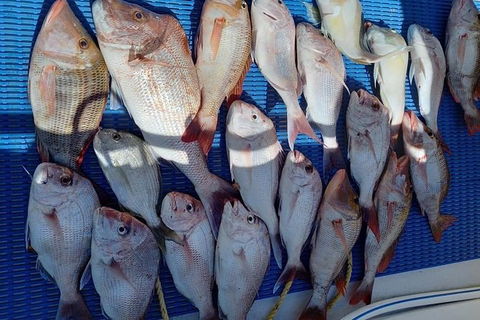 Geraldton Fishing Charter - Accommodation Gladstone 7