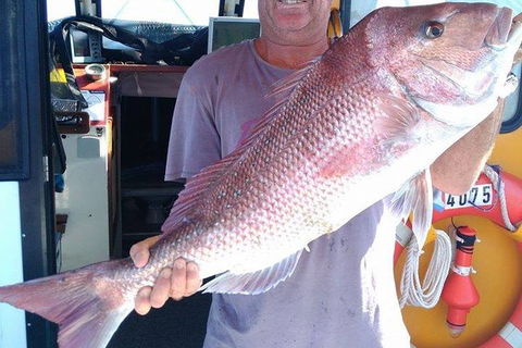 Geraldton Fishing Charter - Accommodation Gladstone 10
