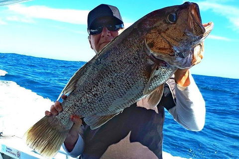 Geraldton Fishing Charter - Accommodation Gladstone 4