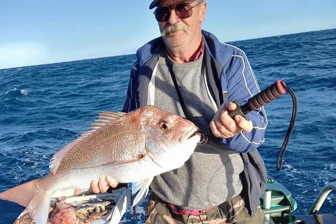 Geraldton Fishing Charter - Accommodation Gladstone 8