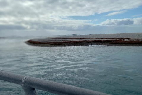 Abrolhos Islands Fishing Charter - Accommodation Gladstone 6