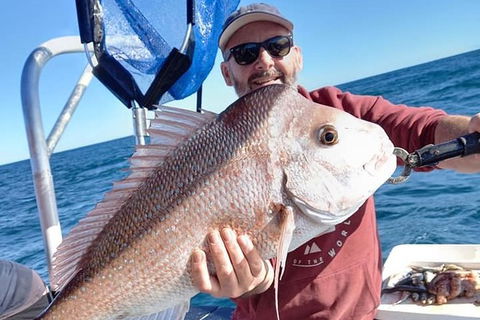 Abrolhos Islands Fishing Charter - Accommodation Gladstone 9