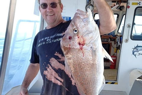 Abrolhos Islands Fishing Charter - Accommodation Gladstone 4