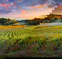 Swan Valley Sunset Wine Tour - Premium Small Group Tour - Accommodation Gladstone