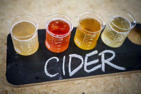 Bickley Valley Wine & Cider Tour - Premium Small Group Tour - Accommodation Gladstone 1