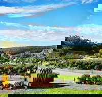 Bickley Valley Wine  Cider Tour - Premium Small Group Tour - Accommodation Gladstone