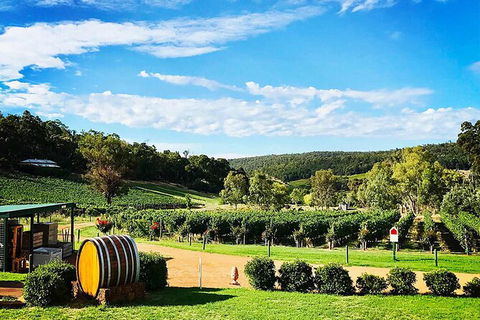 Bickley Valley Wine & Cider Tour - Premium Small Group Tour - Accommodation Gladstone 0