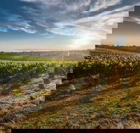 Perth to Margaret River Wine Tour - 2 Day Premium Boutique Wine Tour Experience - Accommodation Gladstone