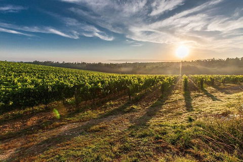 Perth To Margaret River Wine Tour - 2 Day Premium Boutique Wine Tour Experience - Accommodation Gladstone 0