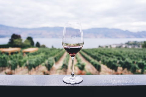 Full-Day Gourmet Wine Tour With Pick Up And Lunch - Accommodation Gladstone 1