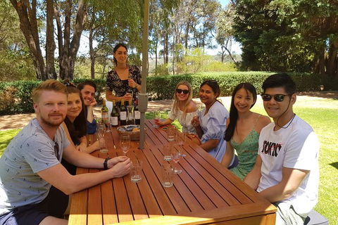 Full-Day Gourmet Wine Tour With Pick Up And Lunch - Accommodation Gladstone 5