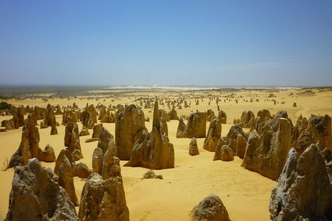 Pinnacles Desert Private Tour - Accommodation Gladstone 5