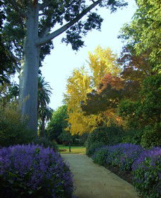 Albury Botanic Garden - Accommodation Gladstone 0